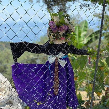 Shenmiter Lukove Διαμέρισμα Εξωτερικό φωτογραφία