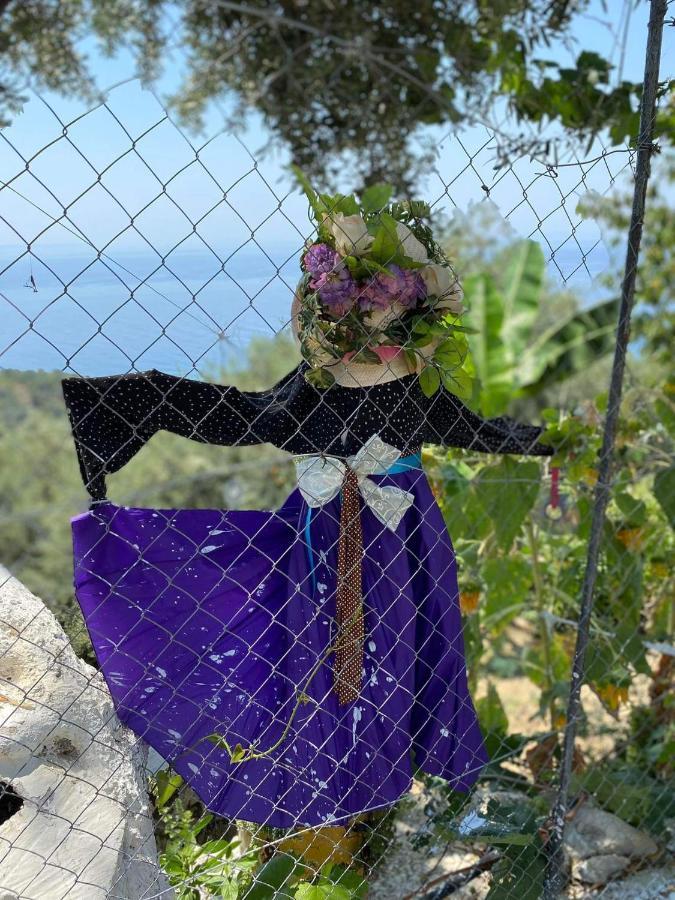 Shenmiter Lukove Διαμέρισμα Εξωτερικό φωτογραφία